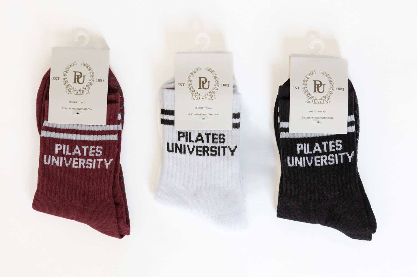 Pilates University Back To School Bundle